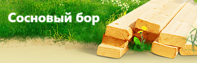 Сосновый бор